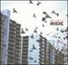 OX4: The Best of Ride