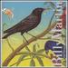 Billy Martin: Starlings