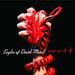 Heart On [Special Edition]