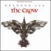 The Crow