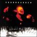 Superunknown [Japan Bonus Track]