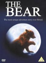 The Bear
