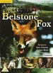 The Belstone Fox