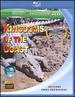 Wild Asia: Kingdoms of the Coast [Blu-ray]