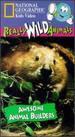 National Geographic Really Wild Animals: Awesome Animal Builders