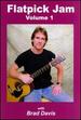 Brad Davis: Flatpick Jam, Vol. 1