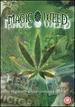 The Magic Weed