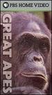 Great Apes