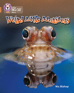 Weird Little Monsters: Band 12/Copper Phase 5, Bk. 6