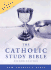 Catholic Study Bible-Nab
