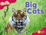 Oxford Reading Tree: Stage 4: More Fireflies A: Big Cats