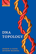 DNA Topology