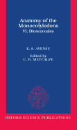 Anatomy of the Monocotyledons Dioscoreales