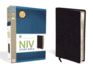 Study Bible-NIV