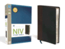 Study Bible-NIV