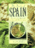The Taste of Spain: Traditional Spanish Recipes and Their Origins