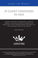 IP Client Strategies in Asia: Leading Lawyers on Developing a Defense Strategy, Navigating Recent Changes in IP Protection, and Understanding the Impact of the Economic Crisis on IP Clients