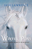 The Winter Pony