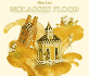 Molasses Flood