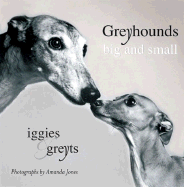 Greyhounds Big and Small: Iggies & Greyts