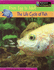 The Life Cycle of Fish