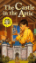 The Castle in the Attic