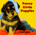 Funny, Little Puppies