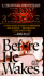 Before He Wakes: A True Story of Money, Marriage, Sex and Murder