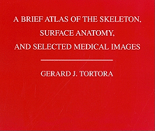 A Brief Atlas of the Human Skeleton, Surface Anatomy and Selected Medical Images