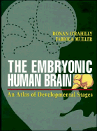 The Embryonic Human Brain: An Atlas of Developmental Stages
