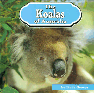Koala Physical Description | RM. Koala Physical Description | RM.