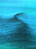 Oceanography: An Invitation to Marine Science