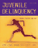 Juvenile Delinquency: Theory, Practice, and Law