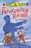The Frankenstein teacher