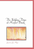The Bobbsey Twins at Meadow Brook