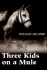 Three Kids on a Mule
