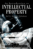 An Introduction to Intellectual Property: Essays and Materials