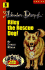 Heroes & Helpers Adventure Diaries-#8 Riley, the Rescue Dog!