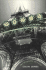 Paris: The Biography of a City