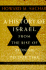 A History of Israel: From the Rise of Zionism to Our Time