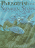Parrotfish and Sunken Ships: Exploring a Tropical Reef
