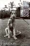 Dog dogs