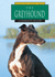 The Greyhound (Learning About Dogs)