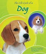 Life Cycle of a Dog