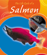 Life Cycle of a Salmon