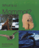 What Is a Mammal?