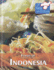 Foods of Indonesia