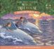 Magic Tree House Collection: Books 9-16: #9: Dolphins at Daybreak; #10: Ghost Town; #11: Lions; #12: Polar Bears Past Bedtime; #13: Volcano; #14: Dragon King; #15: Viking Ships; #16: Olympics