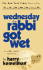 Wednesday the rabbi got wet