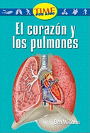 El Corazon y los Pulmones